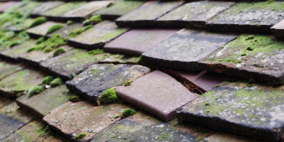 Letcombe Regis roof repair costs